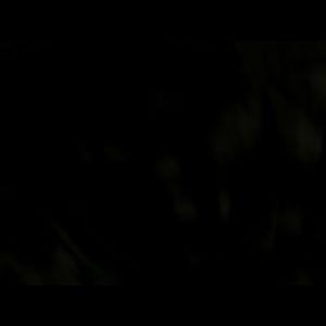 Meet your Posher, Renne